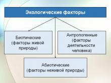 Схема экологические факторы 11 класс