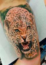 Татуировка в виде леопарда - значение. Что обозначает тату Леопарда? Обозначает леопард